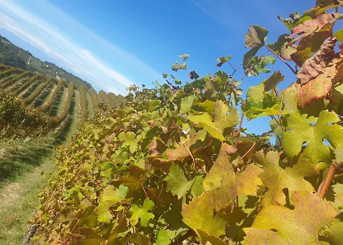 Appartement Casa Dany House *